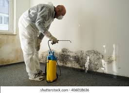 Best Emergency Mold Remediation  in Anthony, NM